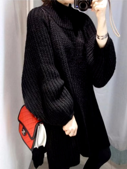 Labeless Womens Thick Long Sweater